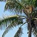 Ronald Loomis - Facebook