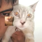 Ronald Lord - @ronaldzeo - Instagram