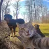 Ronald Lorenz - @ronaldlorenz_9969 - TikTok