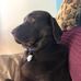Ron Ludlow - Facebook