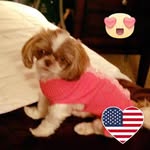 Ronald Lushia - @ronaldlushia - Instagram