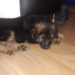 Ronad - @ronaldmaassenm - Instagram