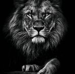 Ronald Macias - Facebook