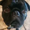 ronaldmaciasjr - @ronaldmaciasjr - TikTok