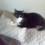 Felix G McCloud - @ronaldgmacleod - Instagram
