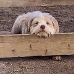 Ronald Macleod - @achnalarig - Instagram