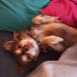 Ronald Macon - @macon1158 - Instagram