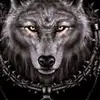 المعلم - @ronaldmak8 - TikTok