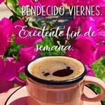 Ronald Malaga - @chicomalo899 - Instagram