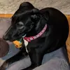 Ronald Martz - @ronald.martz - TikTok