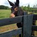 Ronald Maxfield - Facebook