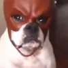 Ronaldo McCaren - @ronaldomccaren - TikTok