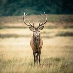 Ronald Mccartney - @mccartneyronald - Instagram