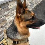Ronald W. McDowell - @ronaldw.mcdowell - Instagram
