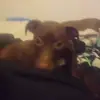 Ronald Mclain - @ronald.mclain - TikTok