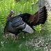 Ronald McNab - Facebook