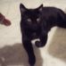 Ronald McNab - Facebook