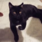 Ronald McNab - @mcnabronald - Instagram