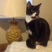 Ronald McNab - Facebook