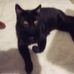 Ronald McNab - Facebook