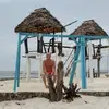 Ronald Meijnhardt - @ronald.meijnhardt - TikTok