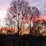 Ronald Meisinger - @ronaldmeisinger - Instagram