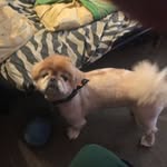 Ronald Melanson - @ronald.melanson.52 - Instagram