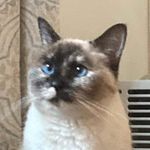 Ronald Million - @ronaldmillion - Instagram