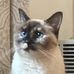 Ronald Million - Facebook