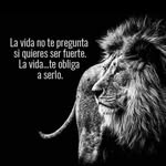 Ronald Mita Calle - @akdronald - Instagram