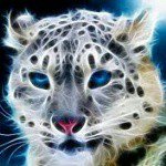 cristhian moller - @cristhian_ronald_moller_fermin - Instagram