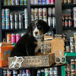 Ronald Reagan III,  the Bernese Mountain Dog 🐾 - @reaganthe3rd - Instagram