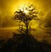 Ronald Mullin - Facebook