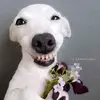 Ronald Myrick348 - @ronaldmyrick0357 - TikTok