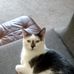 Ronald Newcomer - Facebook