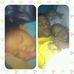 Ronald Opperman - Facebook