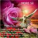 Ronald Opperman - Facebook