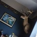 Ronald Overholt - @overholtronald - Instagram