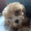 ronaldpatty55 - @ronaldpatty55 - TikTok
