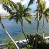 ronaldpelham815 - @ronaldpelham815 - TikTok