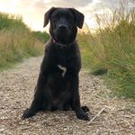 Ron Penner - @ronaldpenner - Instagram