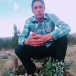 Pepe Ronald Celis Chuquilin - @peperonaldcelischuquilin - Instagram