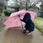 Ronald Petrie - @rcpanic - Instagram