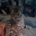 Ron Petrovich - Facebook