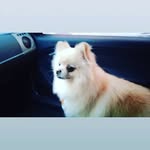 Ronald Philipp Meyer - @ronaldphilippmeyer_ - Instagram