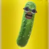 Pickle - @ronaldmcpickle - TikTok