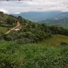 Ronald Pinzón - @ronald.pinzn - TikTok