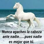 Ronald pinzon. - @ronaldpinzo - Instagram