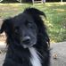 Ronald Polen - Facebook