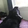 ronaldpolen - @ronaldpolen - TikTok